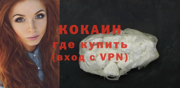 трава Осинники