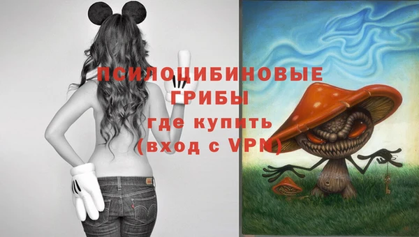 альфа пвп Нязепетровск