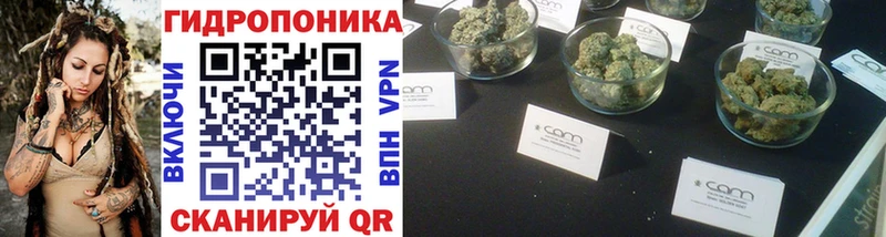 где найти   Мирный  Канабис индика 